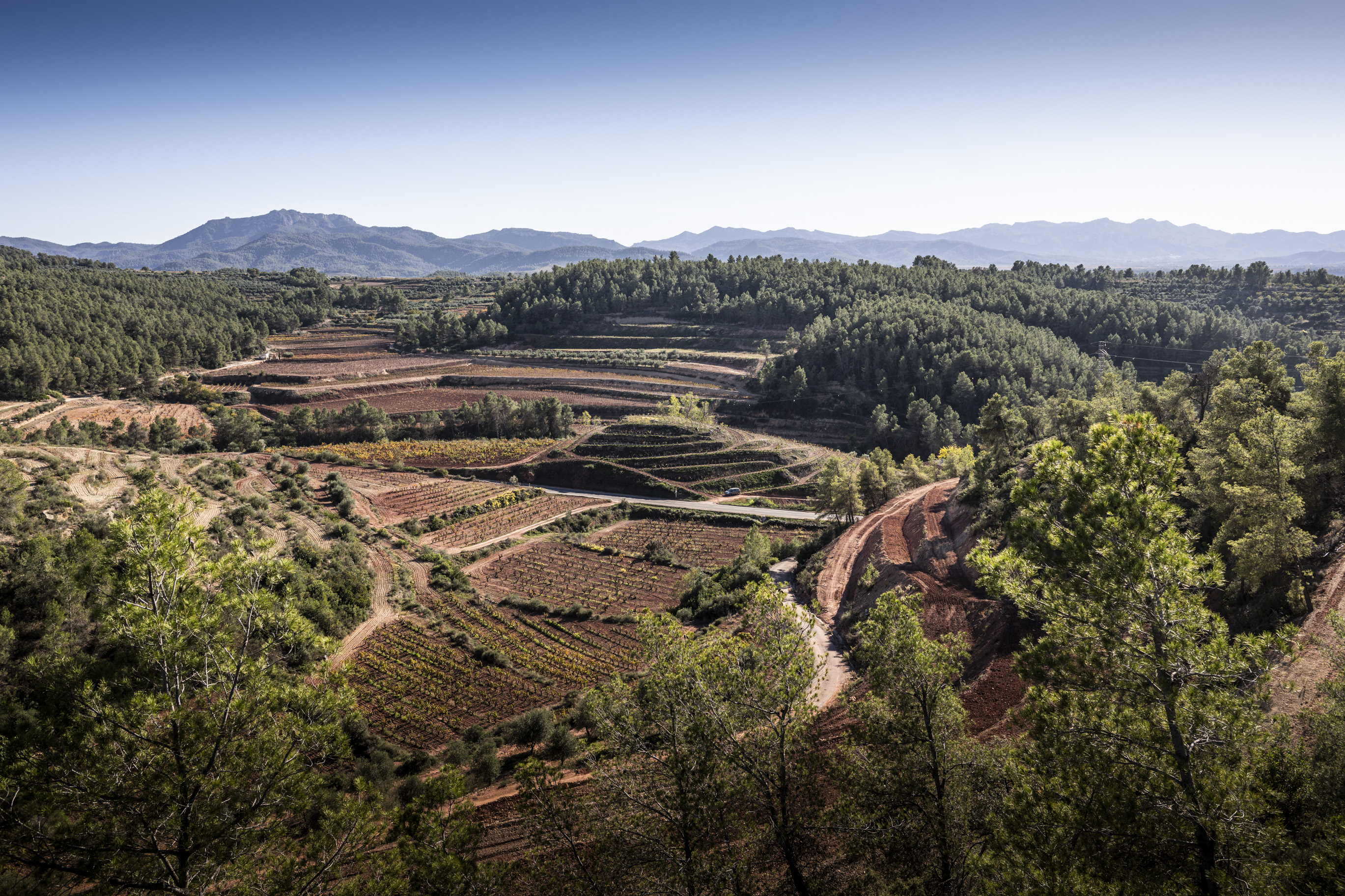 Visita Immersiva Coca i Fitó