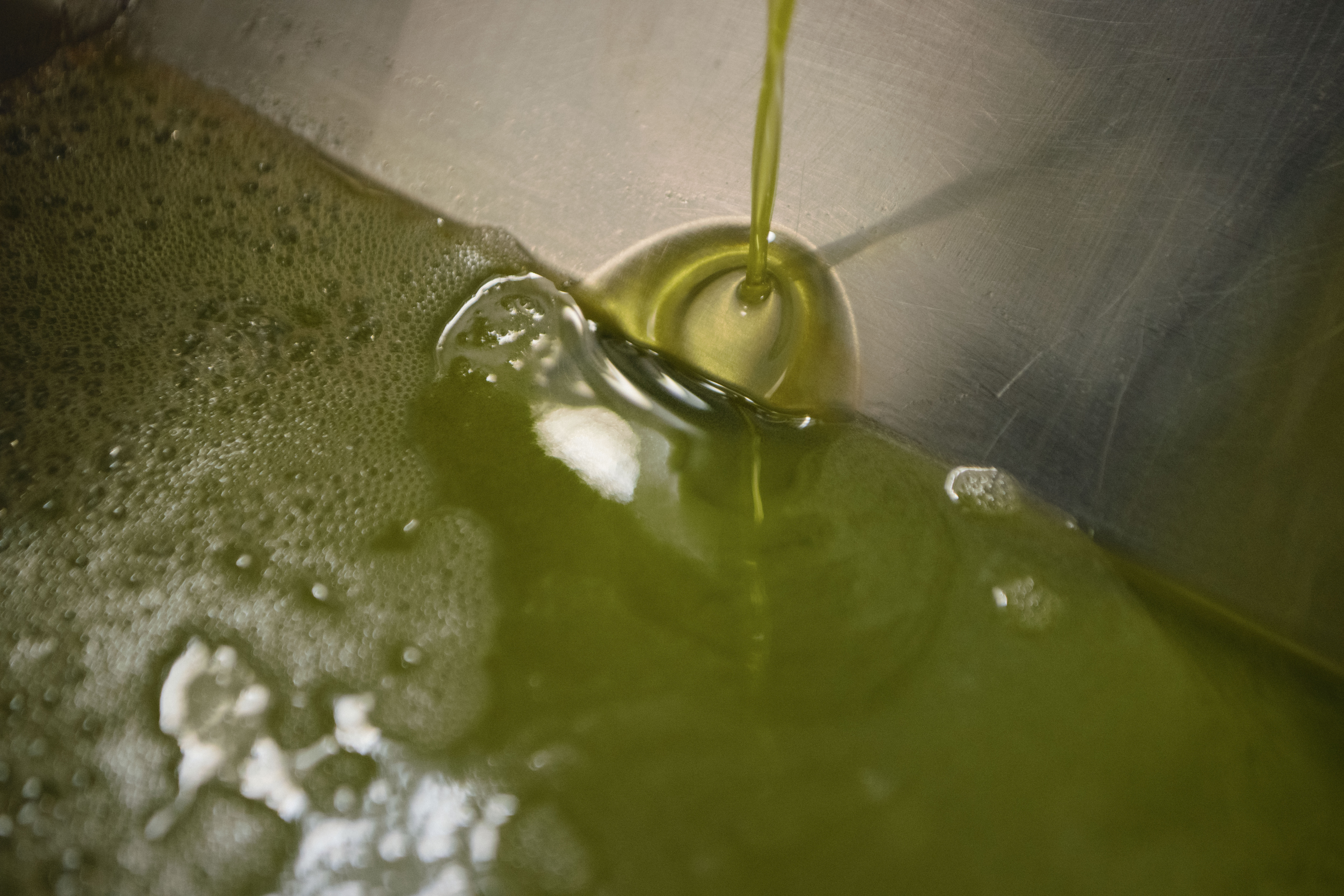 Visita dos molins + berenar de pa amb oli i xocolata! Vinícola del Priorat + Cooperativa Cabacés. 