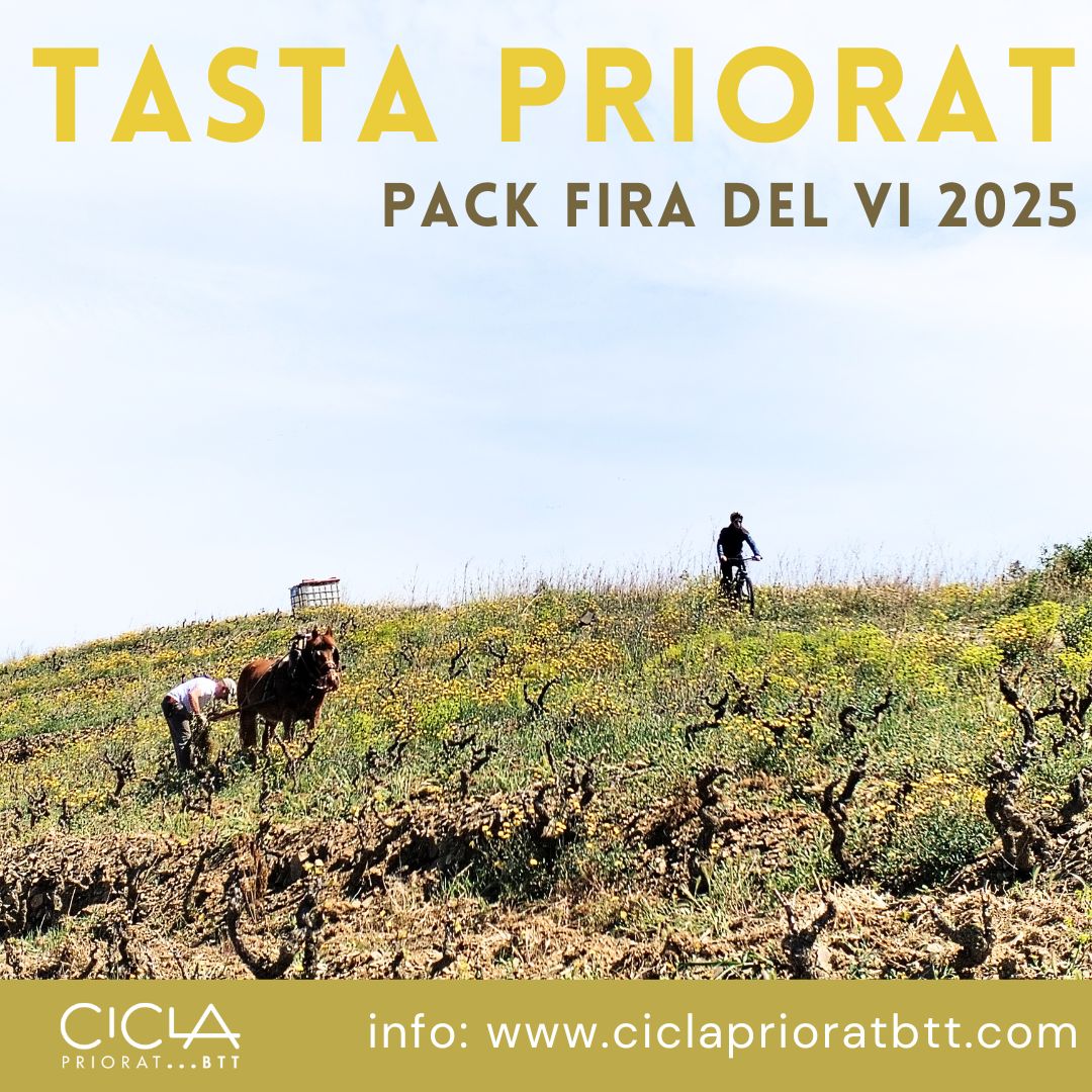 Fira del Vi, tasta Priorat