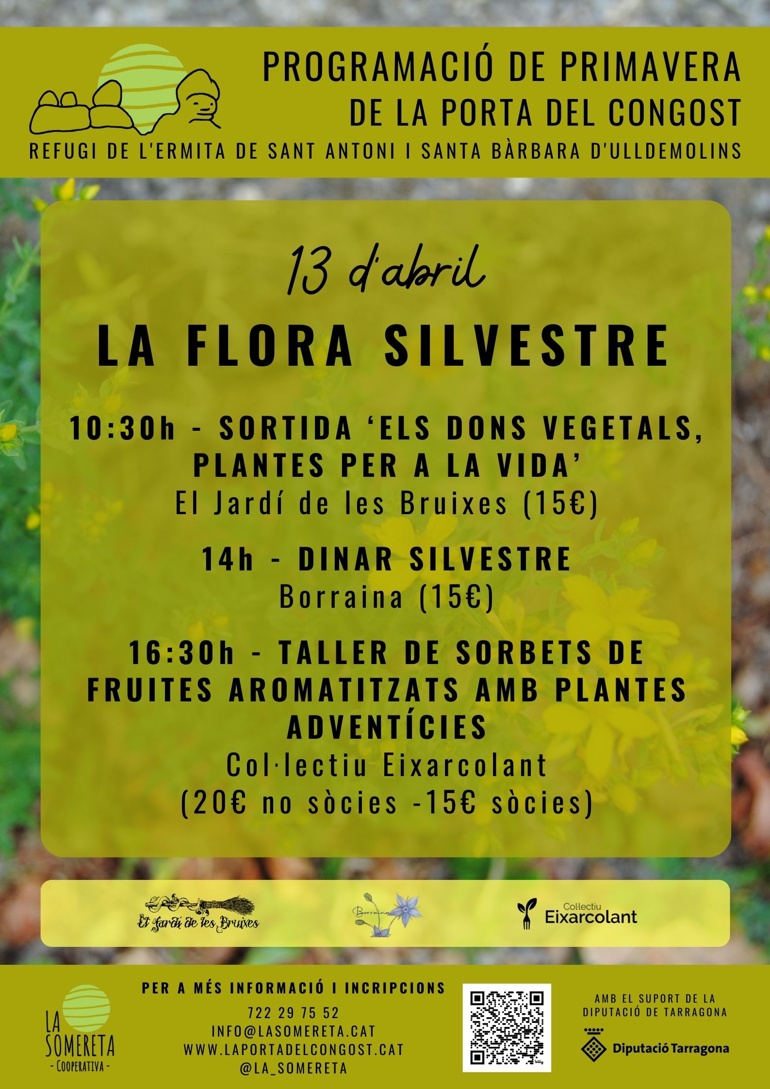 La flora silvestre La flora silvestre