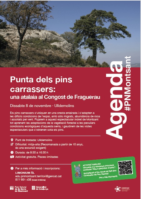 Punta dels pins carrassers: una atalaia al Congost de Fraguerau