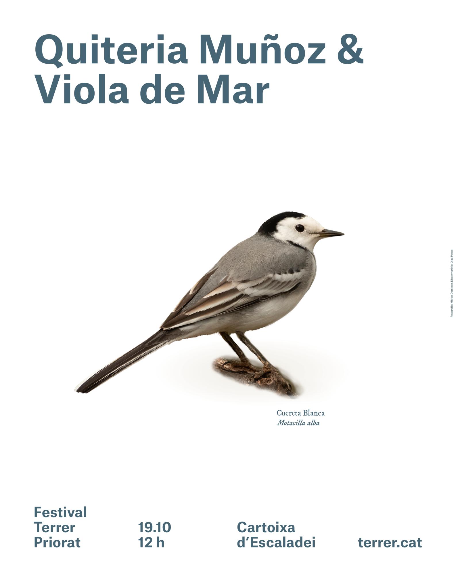 cartell muñoz viola