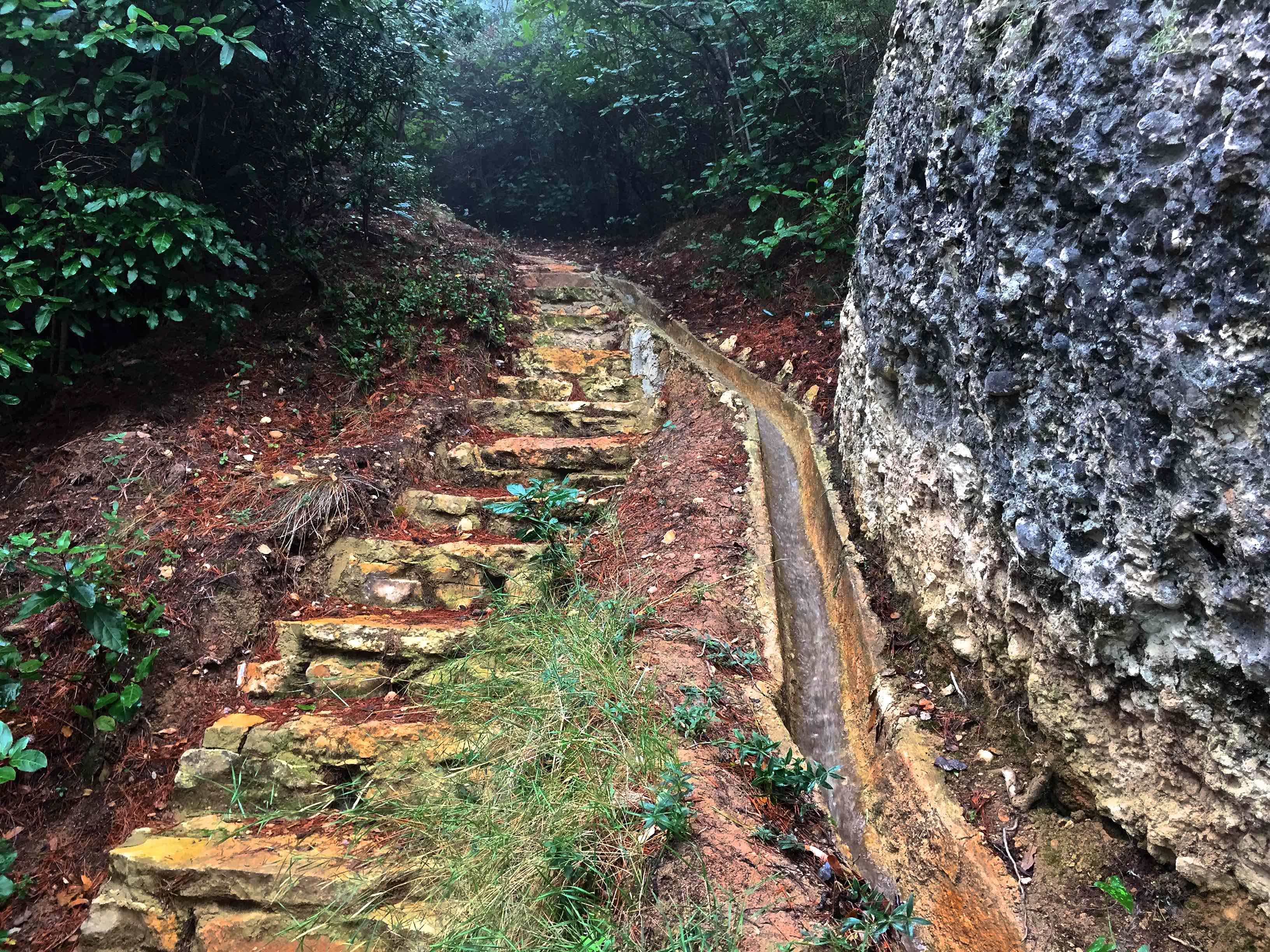 La ruta de l'aigua La ruta de l'aigua