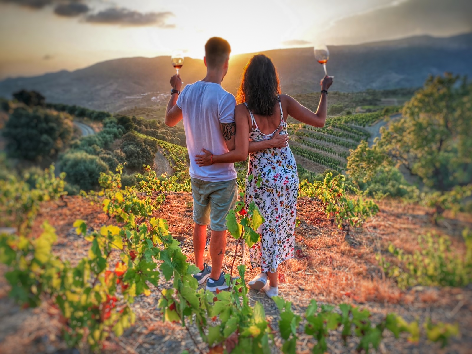 Solstice 2024 in Priorat: hiking between vineyards + sunset wine tasting, 19 and 20 June