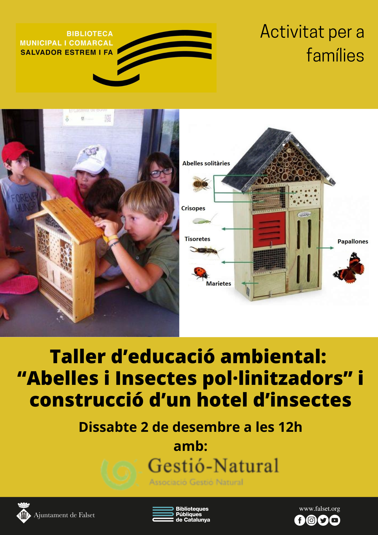 Xerrada Taller per a famílies : Abelles, Insectes pol·linitzadors  i construcció d’Hotels d’insectes  
