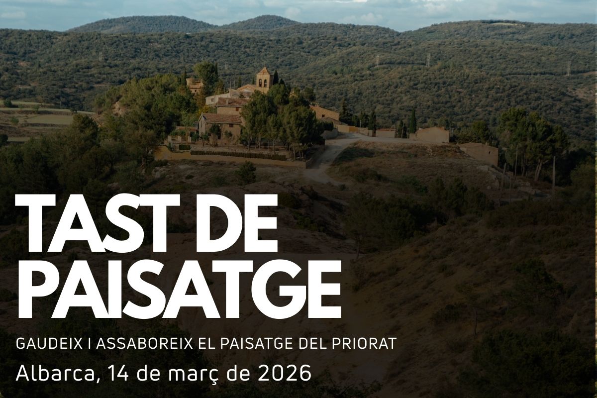 TAST DE PAISATGE DEL PRIORAT