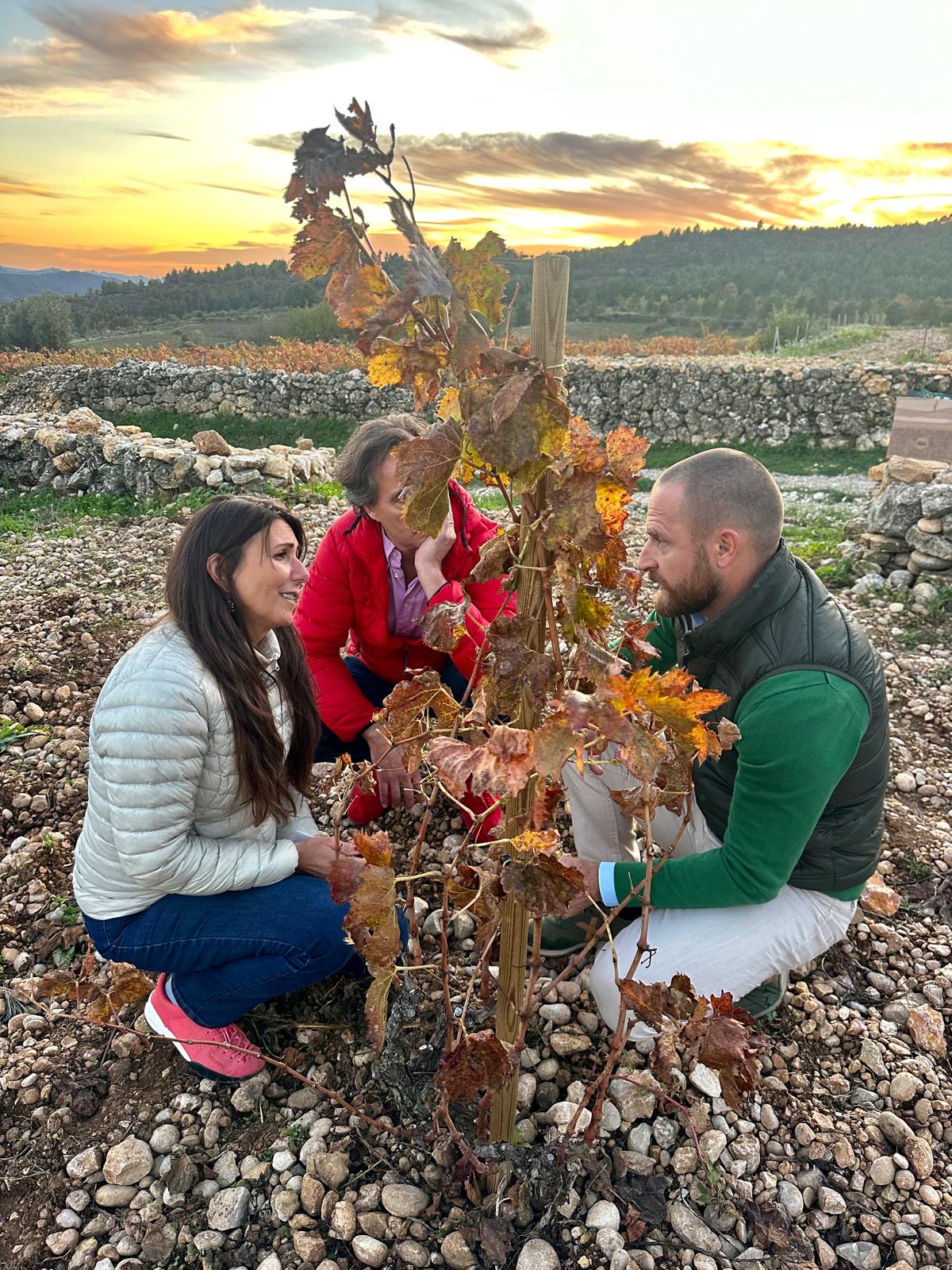 Tast i visita a Vinyes amb Encant