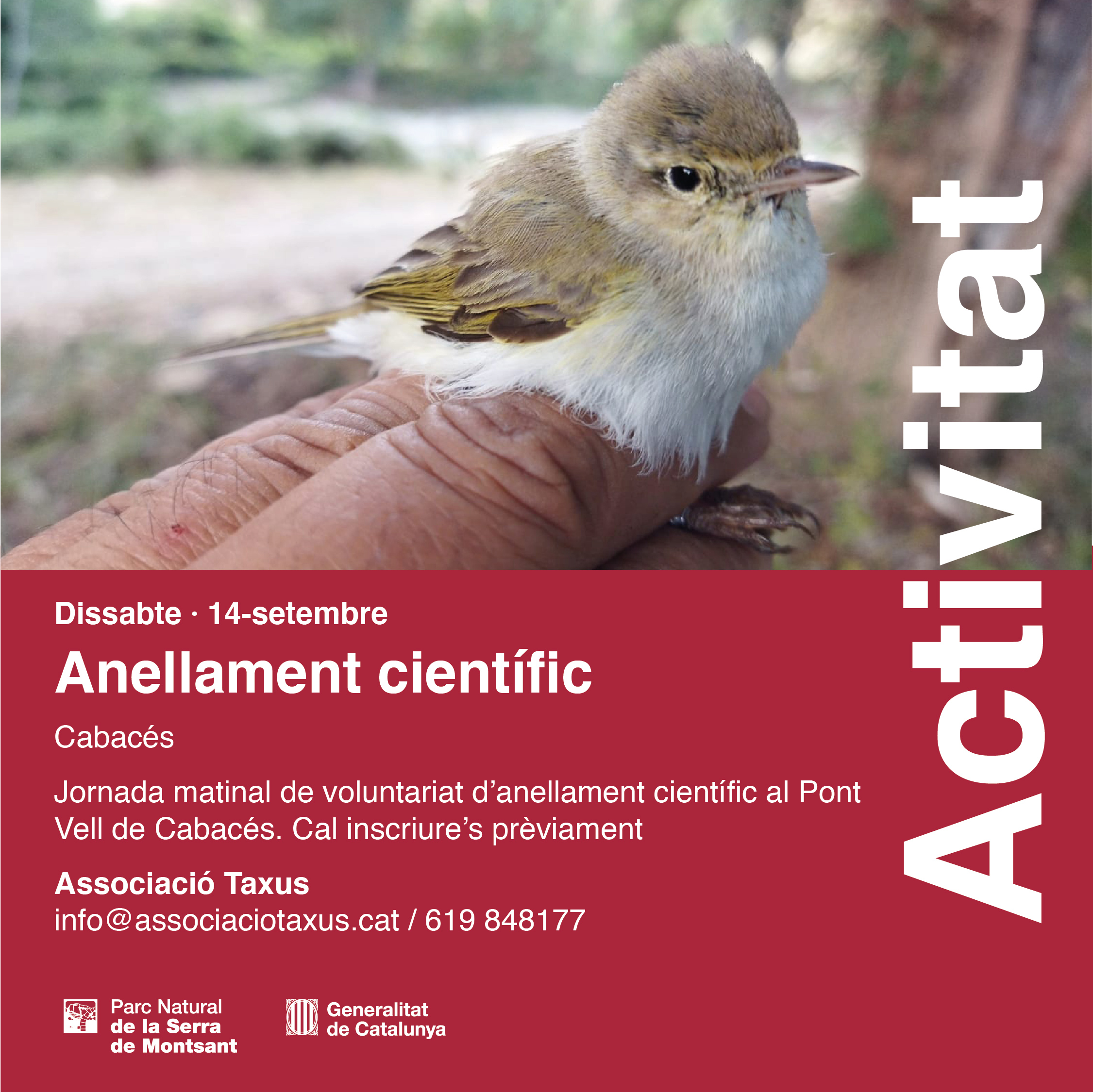 Anellament científic