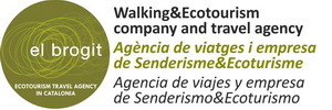 logoaavv4.jpg logoaavv4.jpg