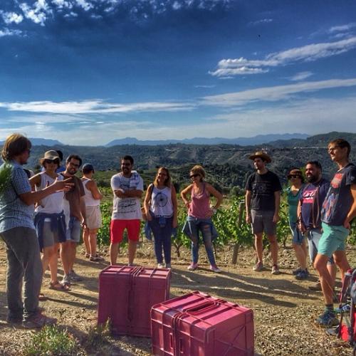 05-2015-setembre-priorat-celler-devinssi-enoturisme-taller-verema-padrins.jpg