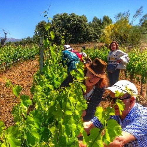 11-celler-devinssi-enoturisme-doq-priorat-maig-2015.jpg