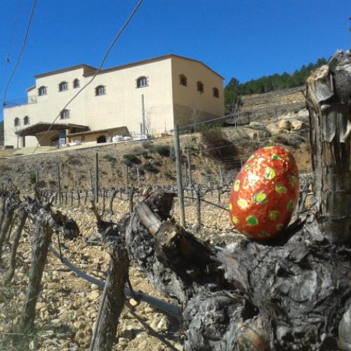 Menja't la Mona amb nosaltres - Tast de xocolates del Priorat