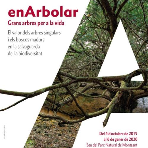arbres-monumentals_web.jpg