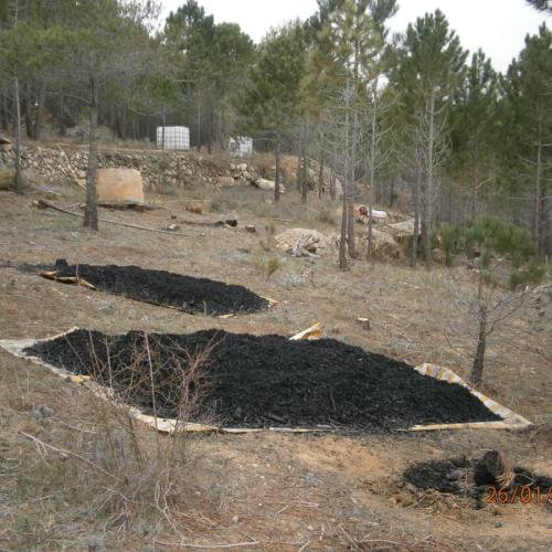 biochar.jpg