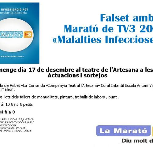 cartell_marato_2017.jpg