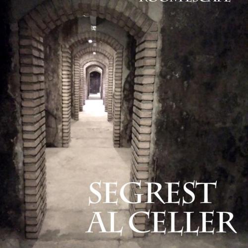 cartell_promocional3_room_escape.jpg