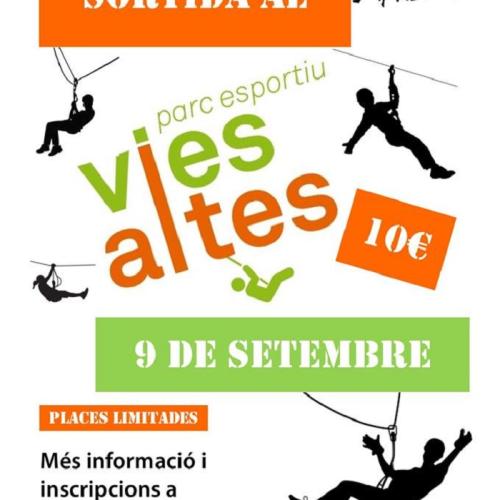 cartell_vies_altes.jpg