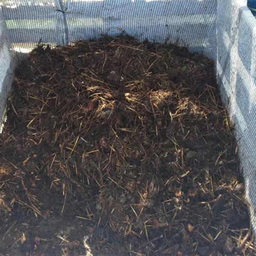 compost