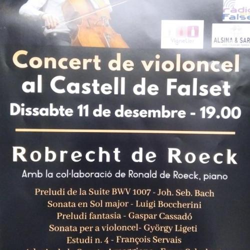 concert_11_12.jpg
