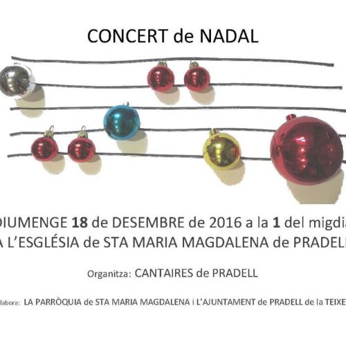 concertnadal2016.jpg