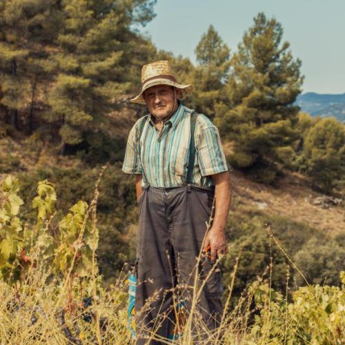 Vins de Grans persones