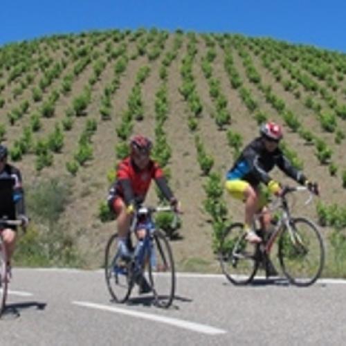 cursa_priorat240d2.jpg