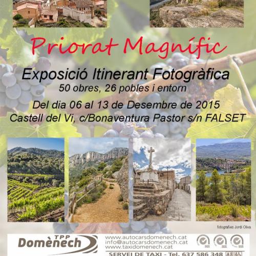 exposicio-definitiu-web.jpg