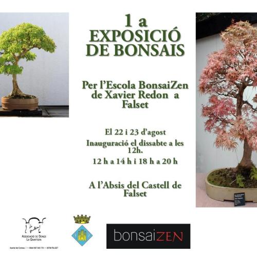 exposicio_bonsais.jpg