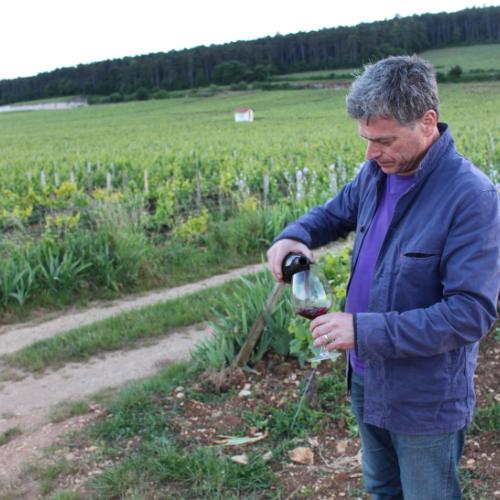 grand-cru-vinyes-most2018.jpg