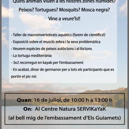 jornada_guiamets.jpg
