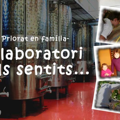 laboratori_sentits_ok.jpg