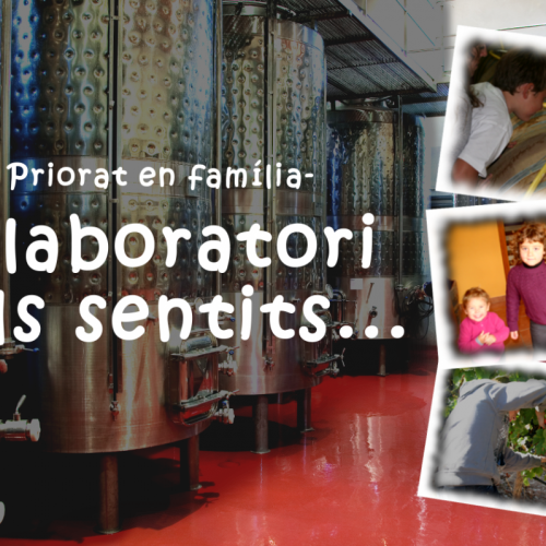 laboratori_sentits_ok.png