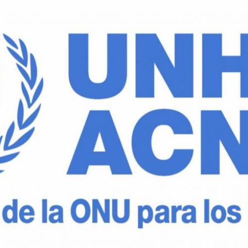 logotipo-acnur.jpg