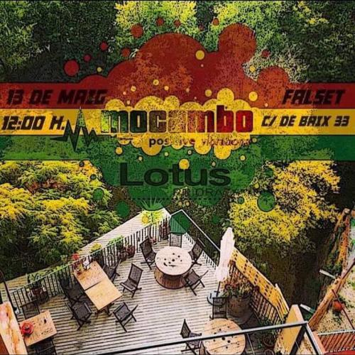 mocambo-lotus.jpg