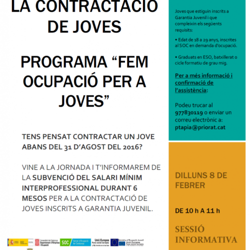 ocupacio_joves.png