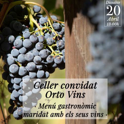orto_vins.png