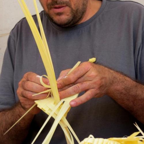 palmes_-_copia.jpg