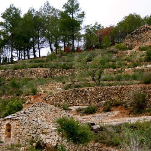 pedra_a_pedra.jpg