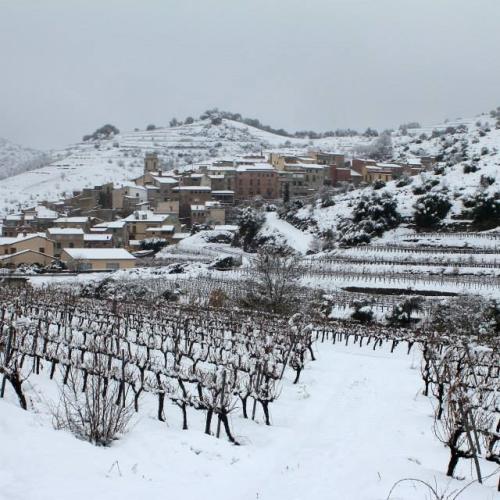 porrera_amb_neu.jpg