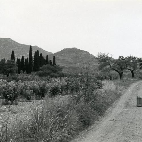 Morató Aragonès a Cornudella de Montsant, 1974