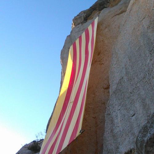 senyera_montsant.jpg