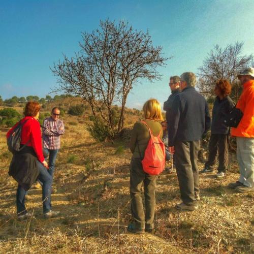 taller-poda-vinya-priorat-devinssi-2016-03