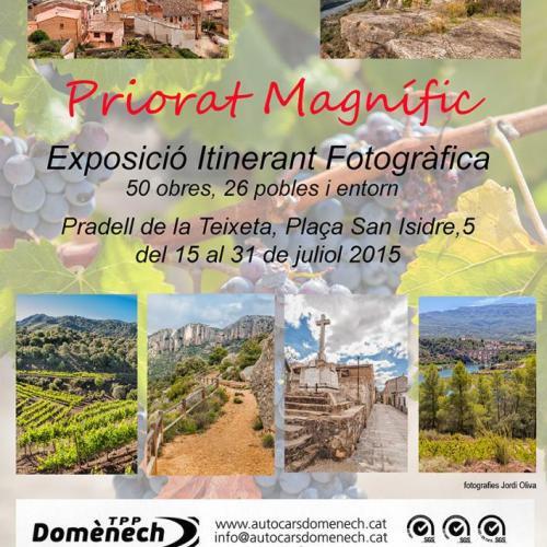 web-pradell-cartell_consell.jpg