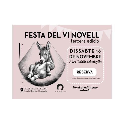 FESTA DEL VI NOVELL