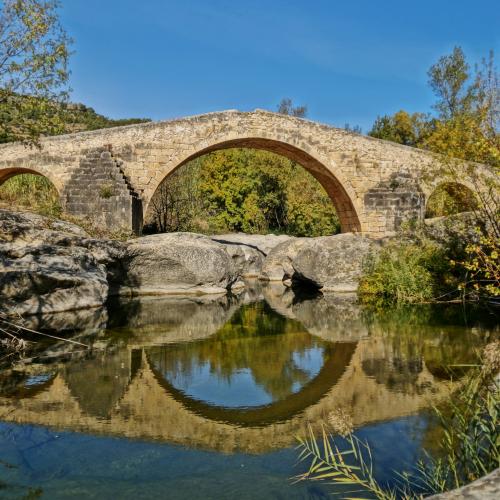 Excursió botànica al Pont Vell de Cabacés 