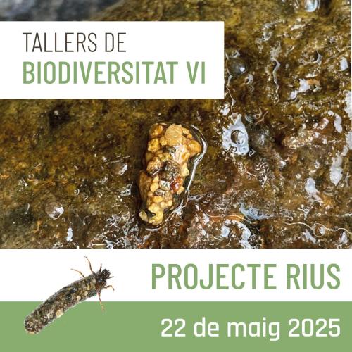 Taller de biodiversitat: Projecte Rius