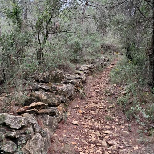 Ruta de la pedra seca Les Taules de Marçà