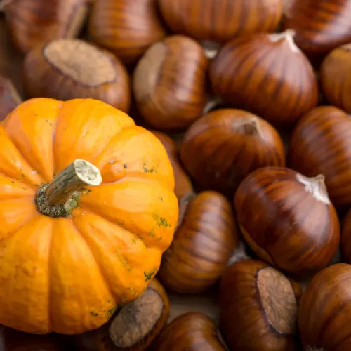 La Castanyada sorpresa