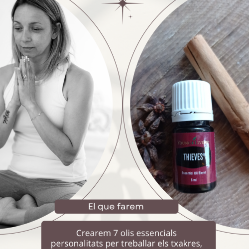 Taller holístic