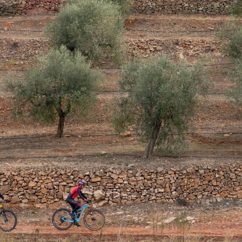Origen: descobrir Priorat